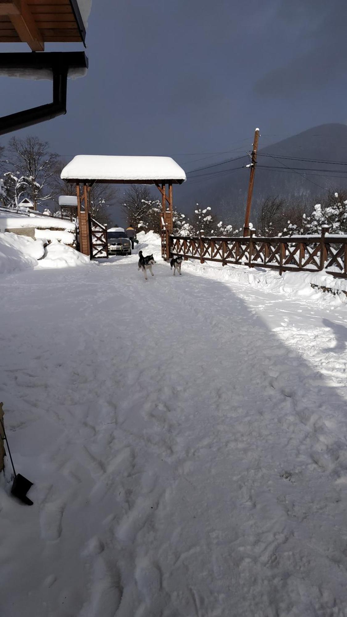 Sadyba Chertizh ตาราริฟ ภายนอก รูปภาพ
